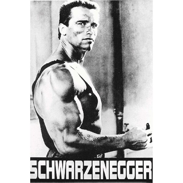 ARNOLD SCHWARZENEGGER