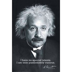 Albert Einstein Poster The Wisdom of Einstein 40,5 x 50,5 cm 