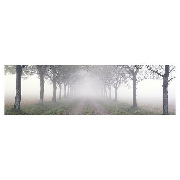 Path in the fog poster
