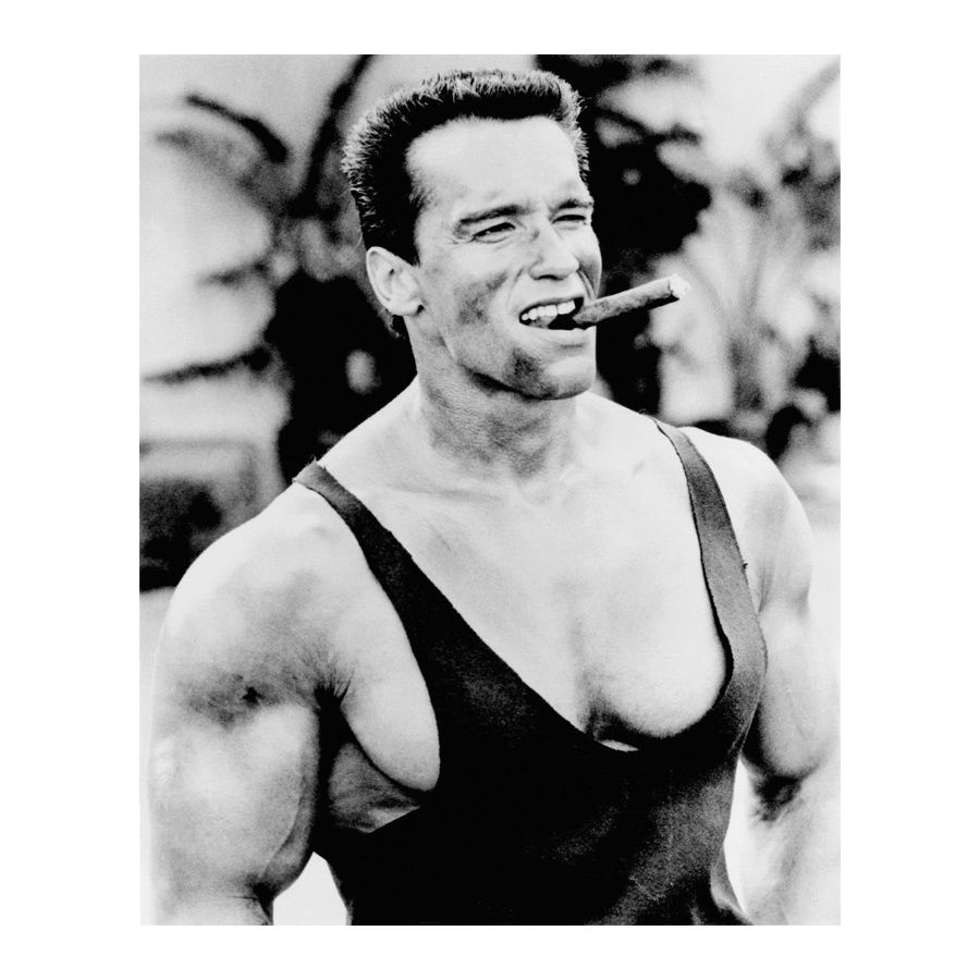 Arnold Schwarzenegger Naked