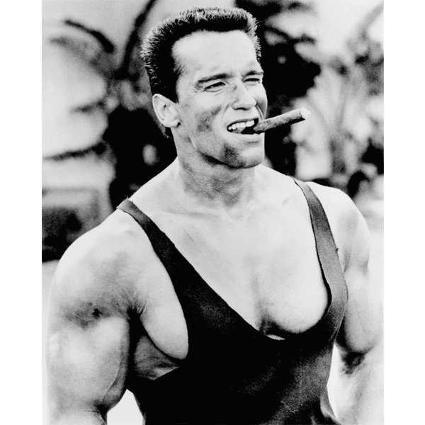 Arnold Schwarzenegger Cigar