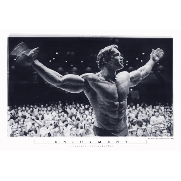 Arnold Schwarzenegger Poster