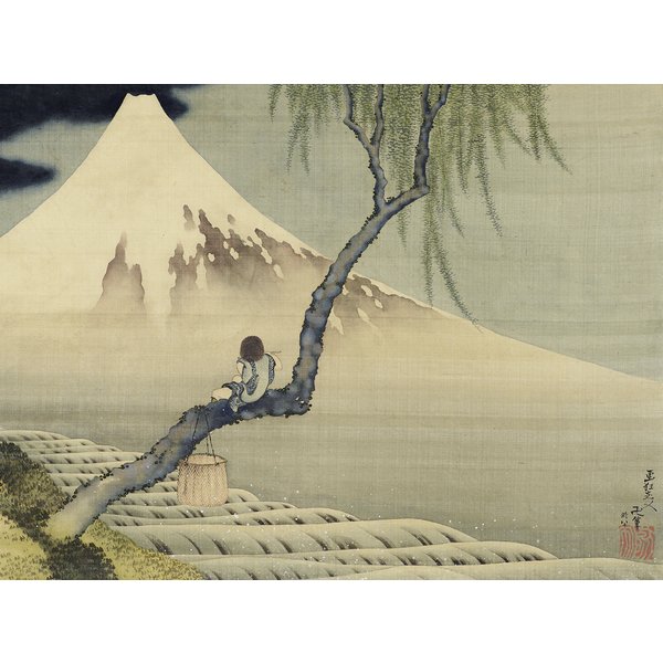 Boy on Mount Fuji Art Print