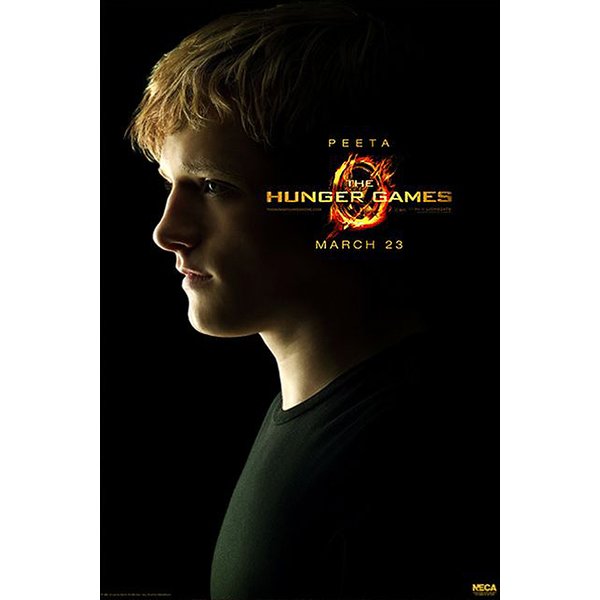 The Hunger Games Poster