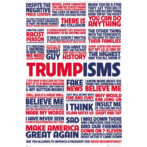 Donald Trump Poster