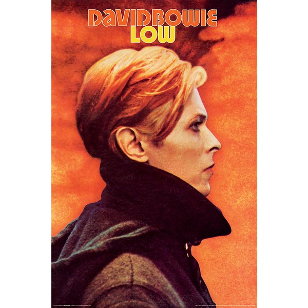 David Bowie Poster Low