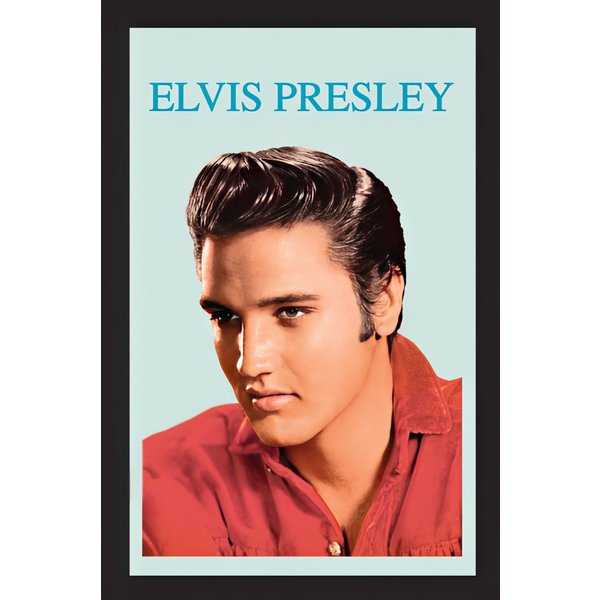 Elvis Presley mirror