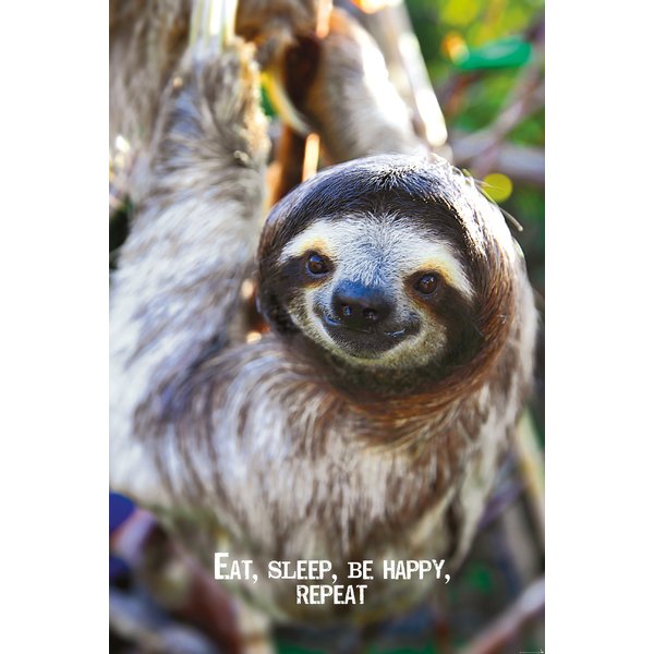 Smile Poster - Sloth