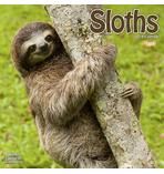 Sloth Calendar 2019