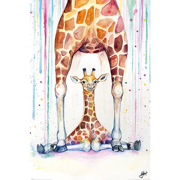 Gorgeous Giraffes Poster