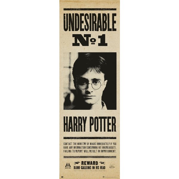 Harry Potter Door Poster -