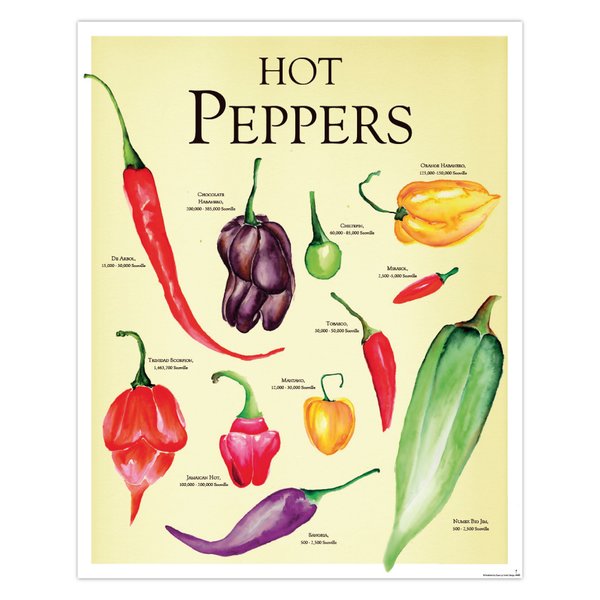 Hot Peppers Poster Janette