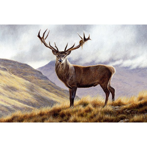 Deer in the Mountains Poster 