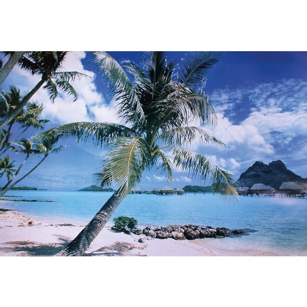 BORA BORA POSTER