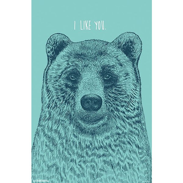 I Like You Bear Poster 