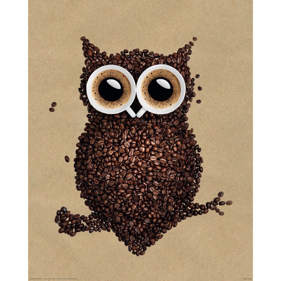 Coffee Owl Poster Owlie Small Posters Now In The Coffee Owl Poster