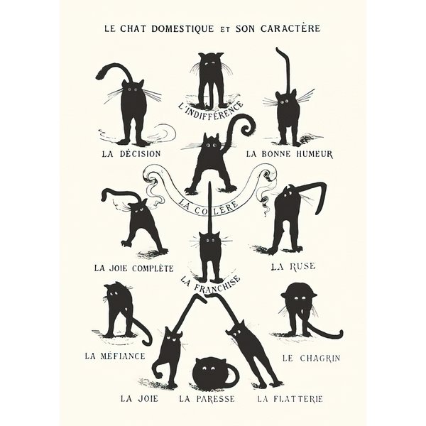 Le Chat domestique et son