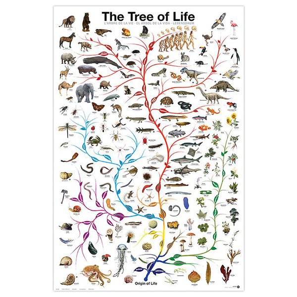 Tree of Life art print