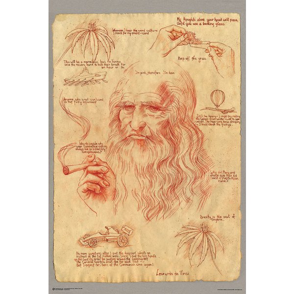 Leonardo Smoking Pot Poster