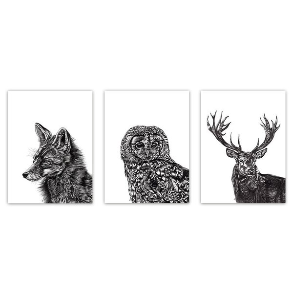 Lucy Francis Art Print Set 