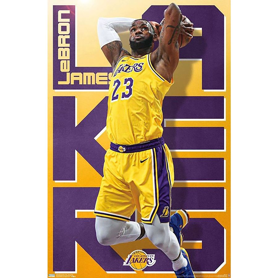 lebron poster