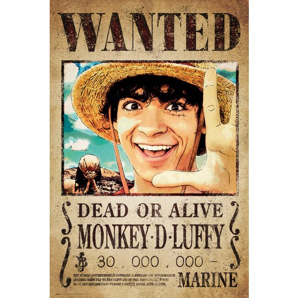 One Piece Poster - Wanted Monkey D. Luffy