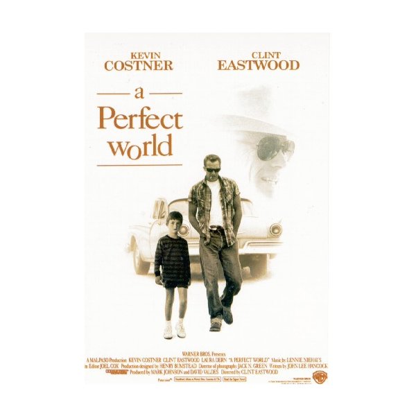 Perfect World Poster