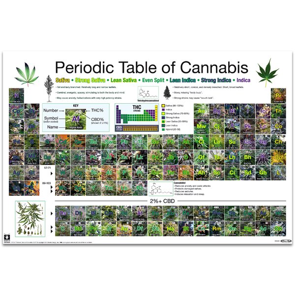 Periodic Table Of Cannabis