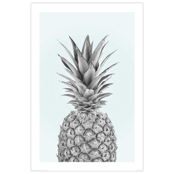 Pineapple Poster - Ananas