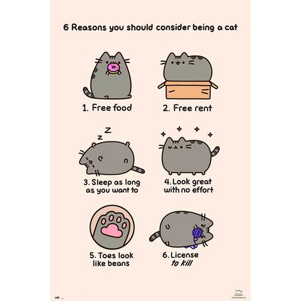 Pusheen The Cat Poster - 6 Reasons you Should Consider