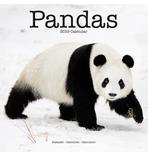 panda Calendar 2019