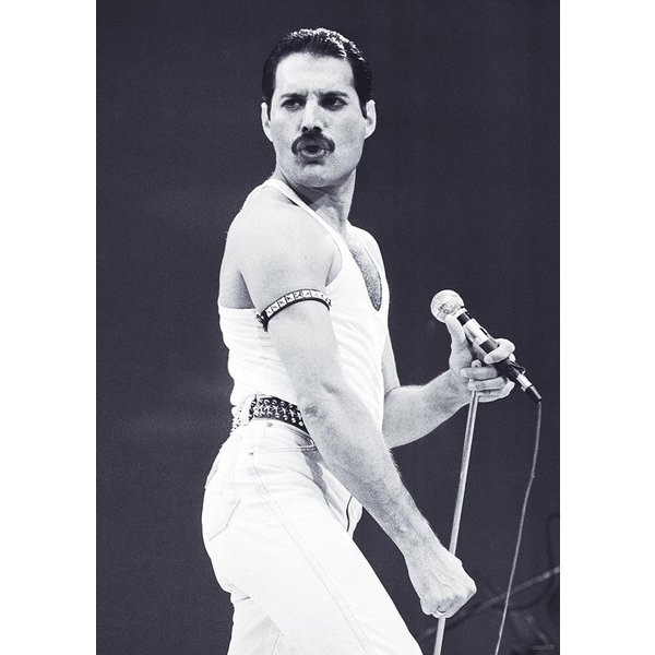 Queen Poster Freddie Mercury