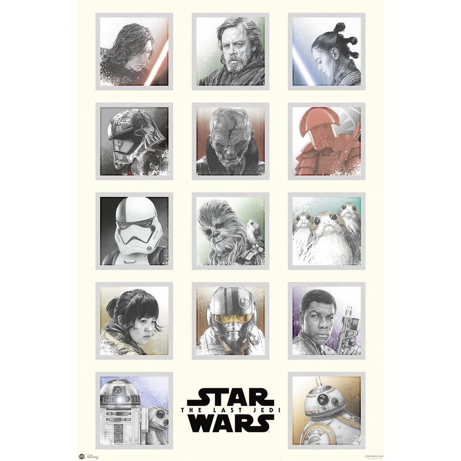 Poster Star Wars The Last Jedi - Characters | Wall Art, Gifts & Merchandise  