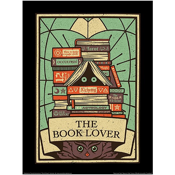 The Book Lover Art Print -