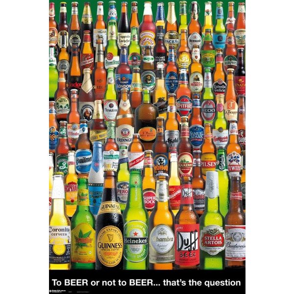 To Beer Or Not To Beer Poster