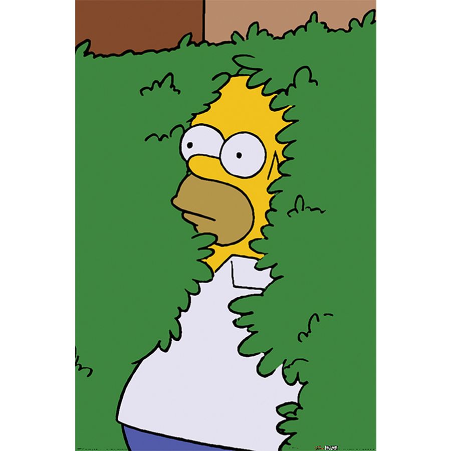 The simpsons tv series poster print wall art merchandise gift homer simpson