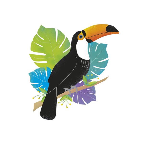 Toucan Tropics Wild 