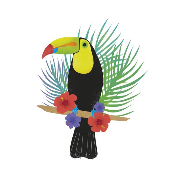 Toucan Tropics - Free